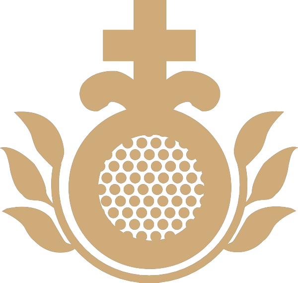 Saint John of God Community Services, Liffey Services logo